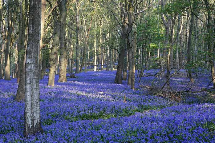 God's transforming grace